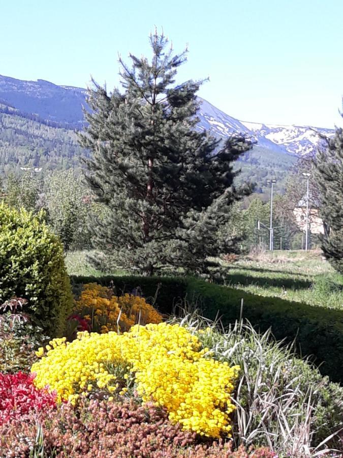 Apartament Pod Sniezka Kowary Εξωτερικό φωτογραφία